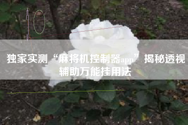 独家实测“麻将机控制器app”揭秘透视辅助万能挂用法