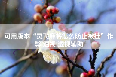 可用版本“灵飞麻将怎么防止被挂”作弊(透视)透视辅助