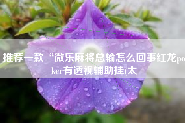 推荐一款“微乐麻将总输怎么回事红龙poker有透视辅助挂(太