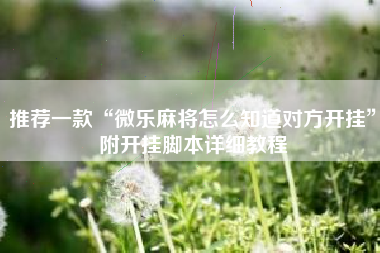 推荐一款“微乐麻将怎么知道对方开挂”附开挂脚本详细教程