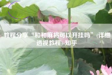 教程分享“和和麻将可以开挂吗”(详细透视教程)-知乎