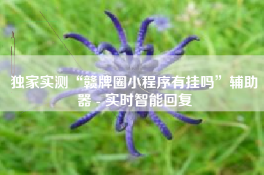 独家实测“赣牌圈小程序有挂吗”辅助器 - 实时智能回复