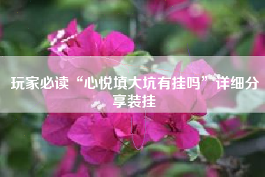 玩家必读“心悦填大坑有挂吗”详细分享装挂