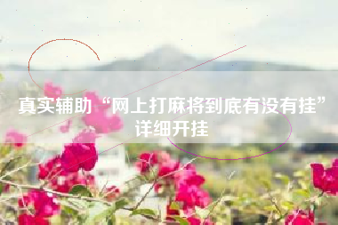 真实辅助“网上打麻将到底有没有挂”详细开挂