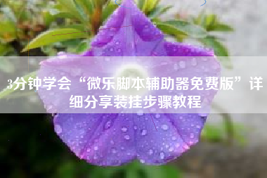 3分钟学会“微乐脚本辅助器免费版”详细分享装挂步骤教程