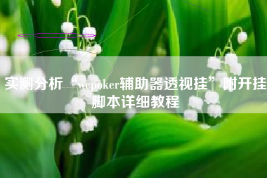 实测分析“wepoker辅助器透视挂”附开挂脚本详细教程