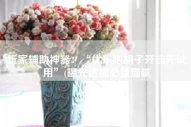 玩家辅助神器：“优乐跑胡子开挂先试用”(曝光透视必备猫腻