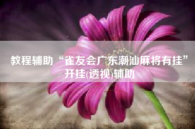 教程辅助“雀友会广东潮汕麻将有挂	”开挂(透视)辅助