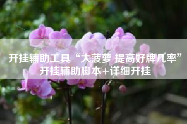 开挂辅助工具“大菠萝 提高好牌几率	”开挂辅助脚本+详细开挂