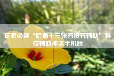 玩家必读“哈局十三张有没有辅助	”科技辅助神器手机版