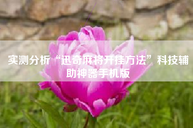 实测分析“迅奇麻将开挂方法”科技辅助神器手机版