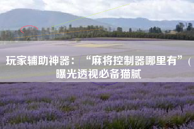 玩家辅助神器：“麻将控制器哪里有”(曝光透视必备猫腻