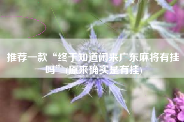 推荐一款“终于知道闲来广东麻将有挂吗”(原来确实是有挂)
