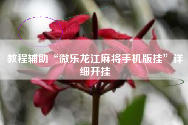 教程辅助“微乐龙江麻将手机版挂	”详细开挂