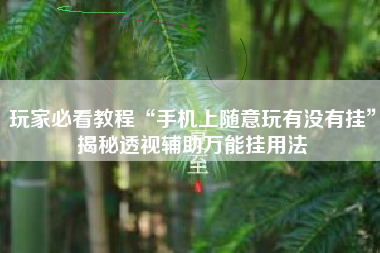 玩家必看教程“手机上随意玩有没有挂”揭秘透视辅助万能挂用法