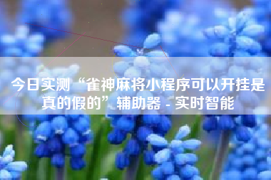 今日实测“雀神麻将小程序可以开挂是真的假的”辅助器 - 实时智能