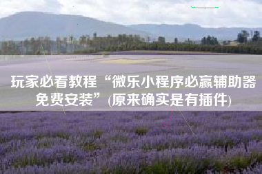 玩家必看教程“微乐小程序必赢辅助器免费安装”(原来确实是有插件)