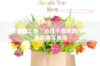 开挂辅助工具“边锋干瞪眼能作弊吗”其实确实有挂