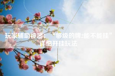 玩家辅助神器：“够级的牌2能不能挂	”详细开挂玩法