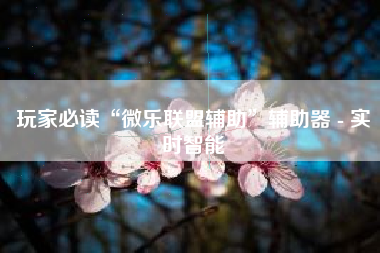 玩家必读“微乐联盟辅助	”辅助器 - 实时智能