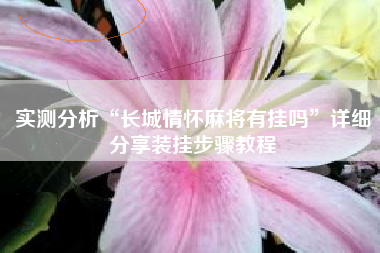 实测分析“长城情怀麻将有挂吗	”详细分享装挂步骤教程