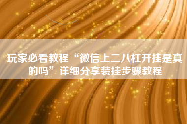 玩家必看教程“微信上二八杠开挂是真的吗”详细分享装挂步骤教程