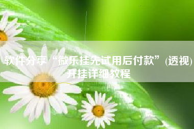 软件分享“微乐挂先试用后付款	”(透视)开挂详细教程