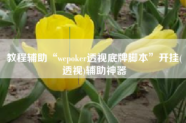 教程辅助“wepoker透视底牌脚本”开挂(透视)辅助神器