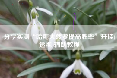 分享实测“哈糖大菠萝提高胜率	”开挂(透视)辅助教程