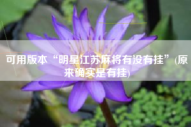 可用版本“明星江苏麻将有没有挂”(原来确实是有挂)