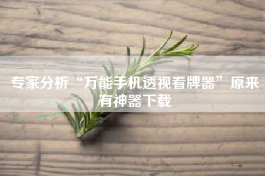 专家分析“万能手机透视看牌器”原来有神器下载
