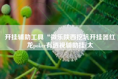 开挂辅助工具“微乐陕西挖坑开挂器红龙poker有透视辅助挂(太