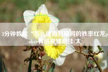 3分钟教程“怎么提高打麻将的胜率红龙poker有透视辅助挂(太