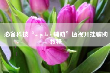 必备科技“wepoker 辅助”透视开挂辅助教程