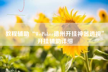 教程辅助“WePoker德州开挂神器透视”开挂辅助详细