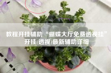 教程开挂辅助“蝴蝶大厅免费透视挂”开挂(透视)最新辅助详细
