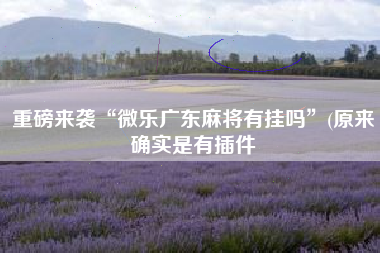 重磅来袭“微乐广东麻将有挂吗”(原来确实是有插件