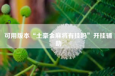 可用版本“土豪金麻将有挂吗	”开挂辅助