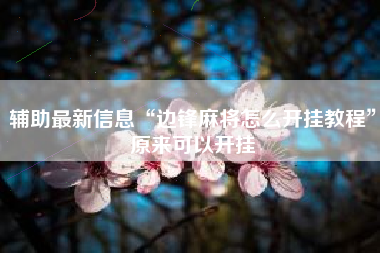 辅助最新信息“边锋麻将怎么开挂教程	”原来可以开挂