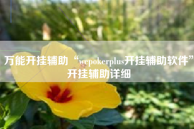 万能开挂辅助“wepokerplus开挂辅助软件”开挂辅助详细
