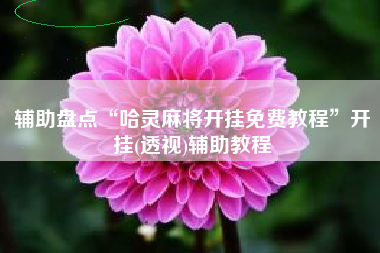 辅助盘点“哈灵麻将开挂免费教程”开挂(透视)辅助教程