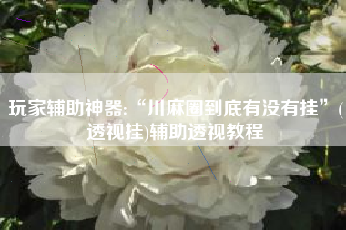 玩家辅助神器:“川麻圈到底有没有挂	”(透视挂)辅助透视教程