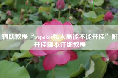 辅助教程“wepoker私人局能不能开挂	”附开挂脚本详细教程