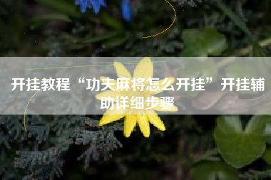 开挂教程“功夫麻将怎么开挂”开挂辅助详细步骤