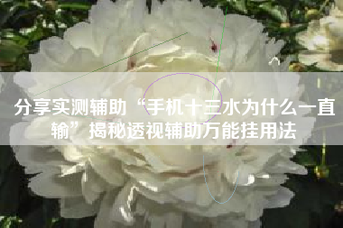 分享实测辅助“手机十三水为什么一直输”揭秘透视辅助万能挂用法