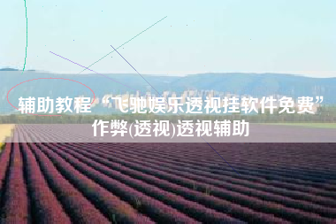 辅助教程“飞驰娱乐透视挂软件免费”作弊(透视)透视辅助