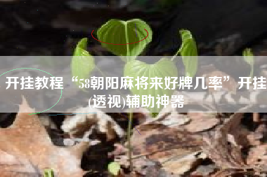 开挂教程“58朝阳麻将来好牌几率	”开挂(透视)辅助神器