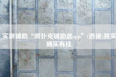 实测辅助“微扑克辅助器app”(透视)其实确实有挂