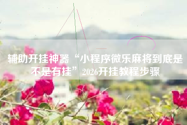 辅助开挂神器“小程序微乐麻将到底是不是有挂”2026开挂教程步骤