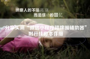 分享实测“微信小程序赣牌圈辅助器”附开挂脚本详细